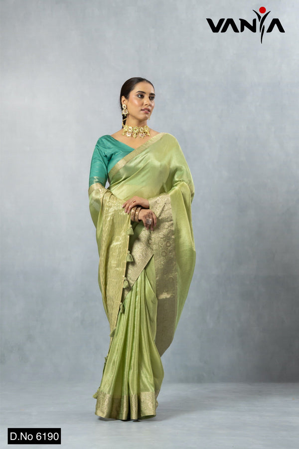 A full-length view of the model in Vanya Sarees' elegant pistachio green tissue silk saree with a gold Banarasi border.
