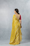 A full back view of the model in the Vanya Sarees ensemble, displaying the drape of the striped Banarasi pallu and a designer blouse. (Note: Shows a different blouse.