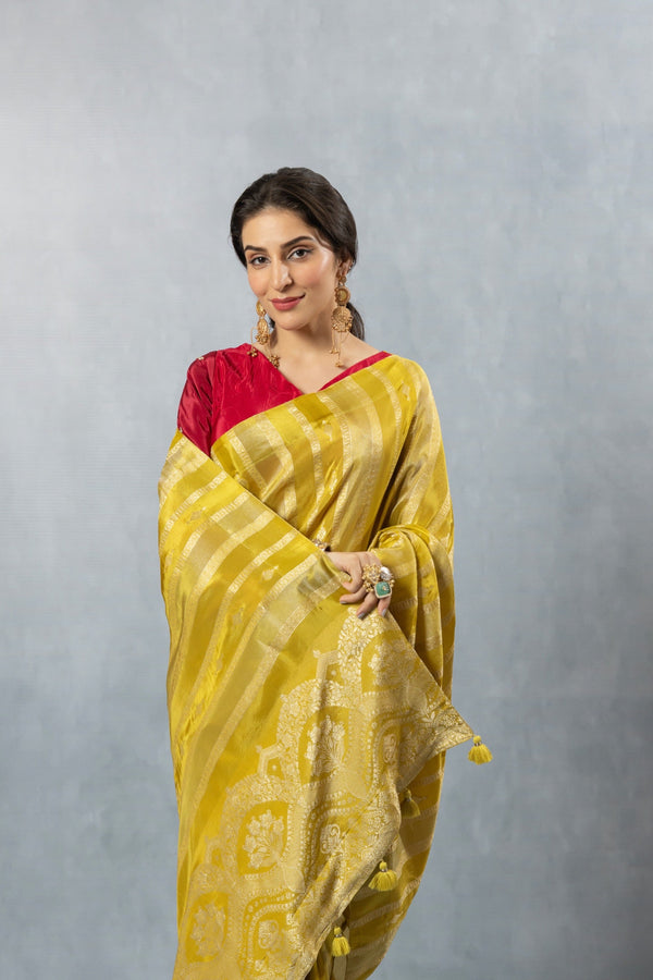 A close-up portrait of the model in a Vanya Sarees lime yellow striped saree, highlighting the rich texture and contrasting red blouse.