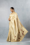 Vanya Champagne Saree side profile, illustrating the soft drape and the heavy gold brocade pallu detail.