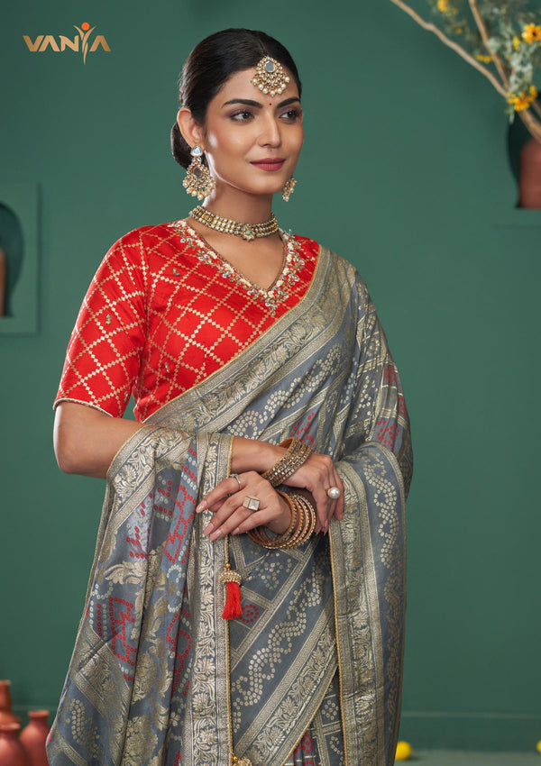 A beautiful close-up of the model in a Vanya Sarees saree, highlighting the rich Patola-inspired border and the red brocade blouse.